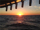 Originator Fishing Charter :: From Michigan City, IN on Lake Michigan