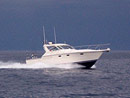 Originator Fishing Charter :: Photo Gallery