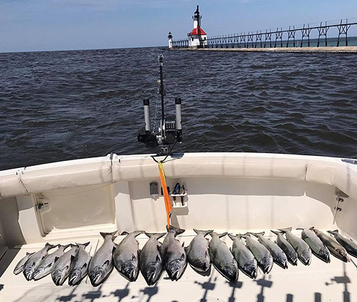 Originator Fishing Charter :: From St Joe, MI on Lake Michigan and the St Joe River